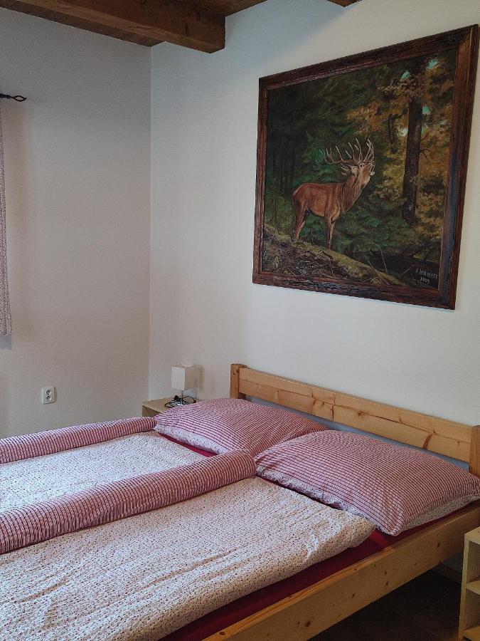 Stárkov Apartmany Pod Vysakem מראה חיצוני תמונה