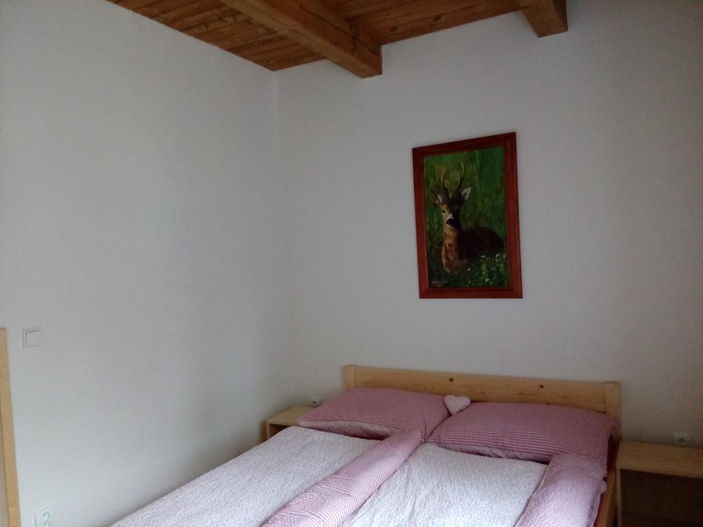 Stárkov Apartmany Pod Vysakem מראה חיצוני תמונה