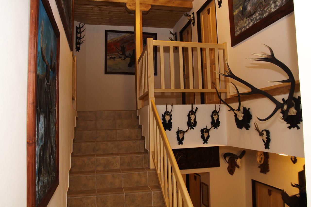 Stárkov Apartmany Pod Vysakem מראה חיצוני תמונה